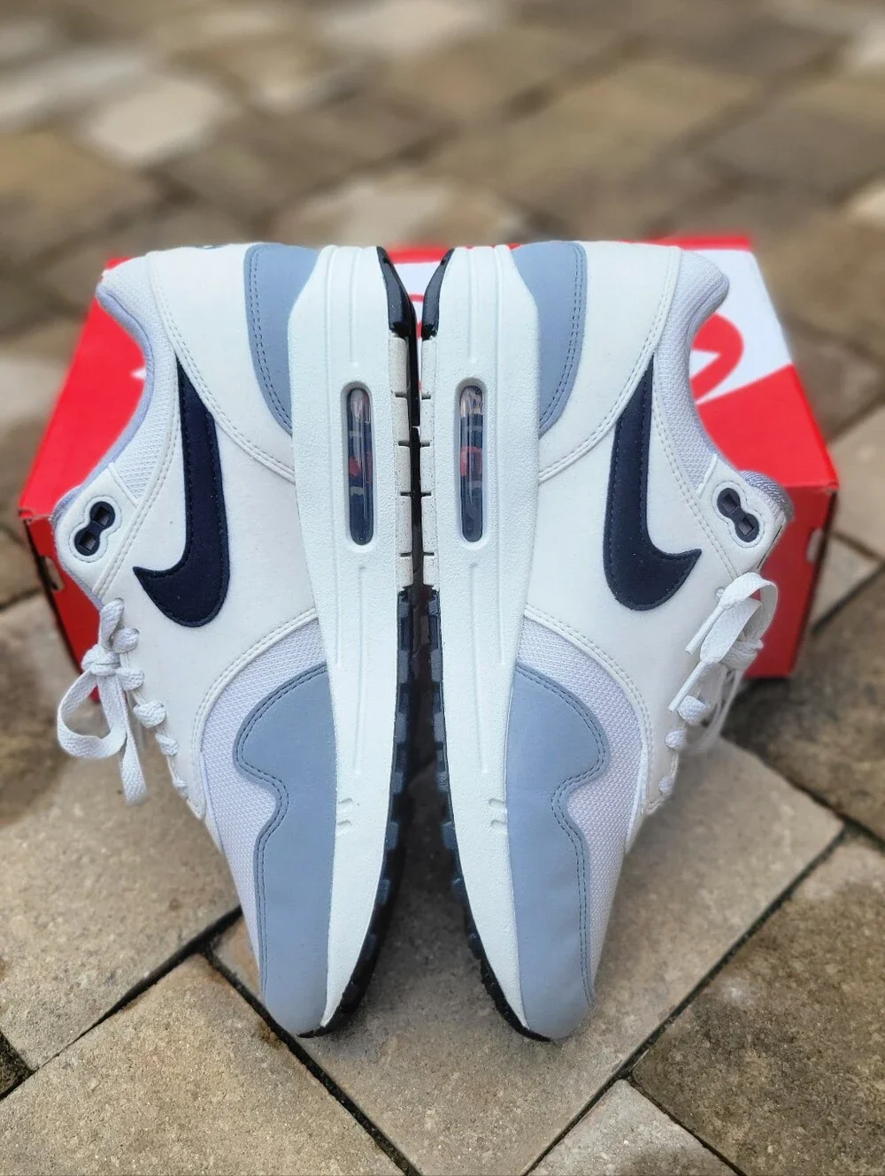 Nike Air Max 1 'Platinum Dark Obsidian'